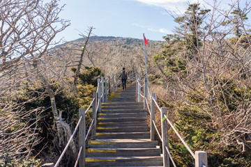 Person Hiking on Hallasan Mountain on Jeju Island