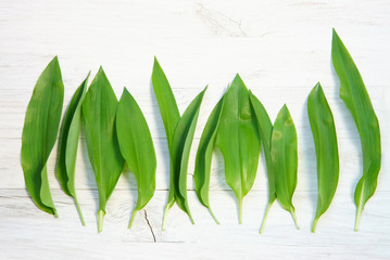 Leaves from wild garlic on white wood, copy space