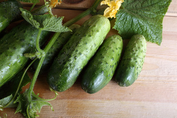 Cucumbers on table