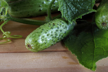 Cucumbers on table
