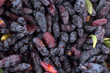 Honeysuckle berries background