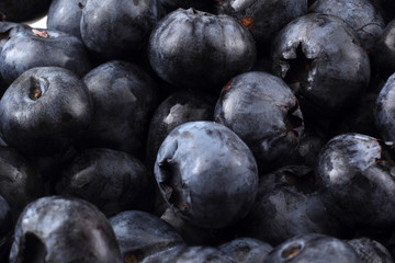 Blueberries background
