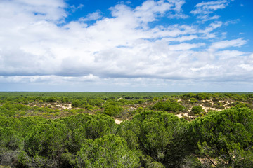 Fototapeta na wymiar Doñana