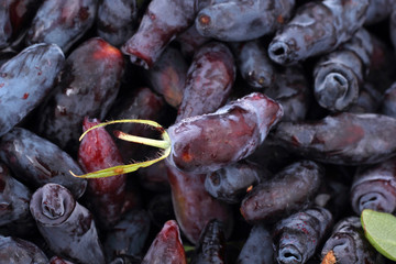 Honeysuckle berries background