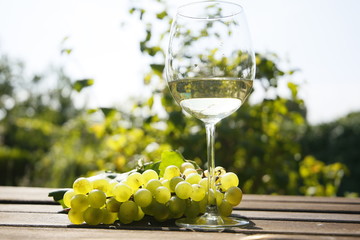 Vino blanco