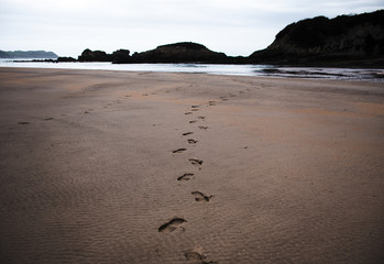 Footprints on the sand at the beach summer 