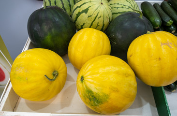 Yellow watermelon Golda. His rind is yellow and the flesh is red