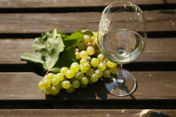 Vino blanco