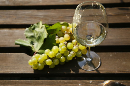 Vino blanco