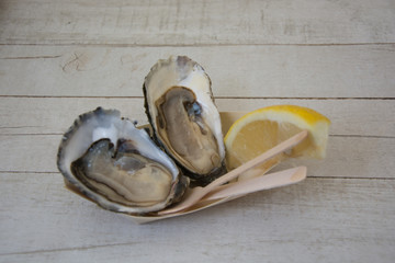 Oyster with lemon. Seafood. Top view. On a wood background. Free copy-space