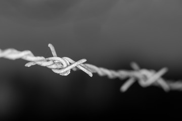 Fototapeta na wymiar Barb wire fence line close up in monochrome