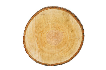 Sawed a natural tree with bark. The stump of a young tree, top view. Isolated