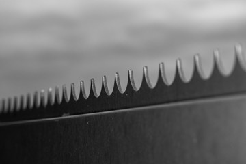 Selective focus on iron spiked border fence