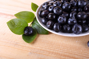 Blueberry harvest