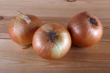 Onion on table