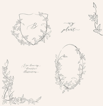 Collection Line Drawing Ivy Plant Vector Floral Wreaths, Oval Frame, Heraldry, Hand Drawn Corners With Branches, Leaves, Plants, Herbs. Botanical Illustration. Leaf Logo. Wedding Invitation, Monogram