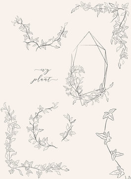 Collection of line drawing ivy plant vector floral wreaths, geometric frame, hand drawn corners with branches, leaves, plants, herbs. Botanical illustration. Leaf logo. Wedding invitation, monogram