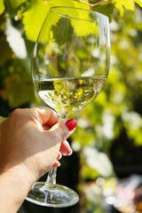 Vino blanco