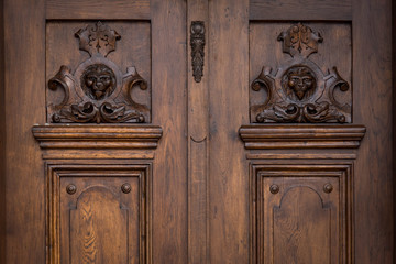 an old wood door with lions figures