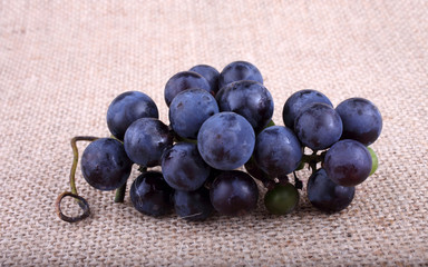 Black wine grape on bagging