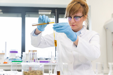 Chemist works with hemp CBDa oil in laboratory