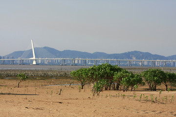 21 June 2008 the coast at Ha Pak Nai, Yuen Long