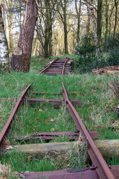 Old Narrow Gauge Or Train Track In The Woods Near The Holtingerveld Near Havelte, Used In The Construction Of An Airfield In The Second World War