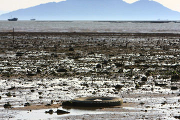 21 June 2008 the coast at Ha Pak Nai, Yuen Long
