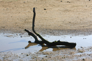 21 June 2008 the coast at Ha Pak Nai, Yuen Long