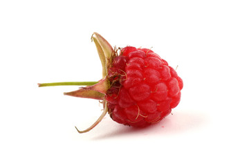Raspberry