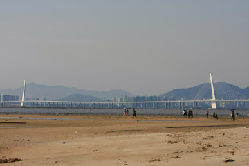 21 June 2008 the coast at Ha Pak Nai, Yuen Long