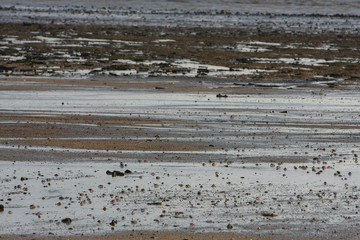 21 June 2008 the coast at Ha Pak Nai, Yuen Long