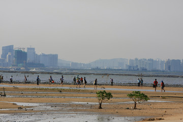 21 June 2008 the coast at Ha Pak Nai, Yuen Long