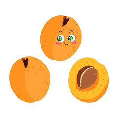 Vector illustration of ripe apricots, whole and half on a white background in a flat style. Set for design.