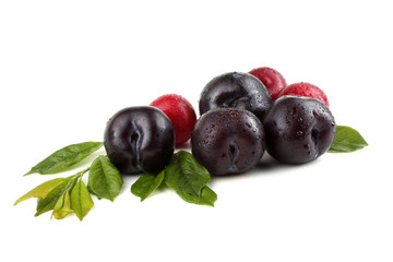 Plums and leaves