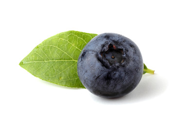 Blueberry and leaf