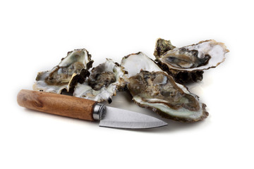 Opened oyster