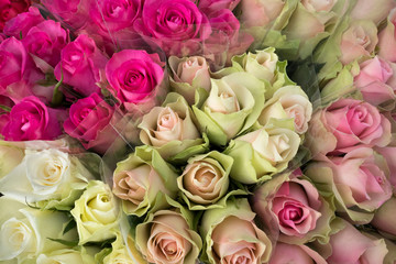 Bunches of white and pink roses