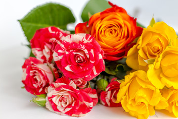 bouquet of various bright roses close, flower greeting card, love present