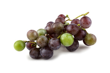Wine variety, for red wine