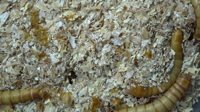 4k macro video of millwork