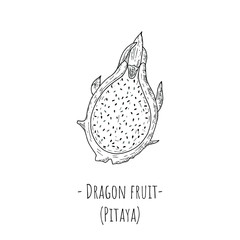 Slice of dragon fruit. Isolated object on a white background. Hand-drawn style. Vector cartoon illustration.