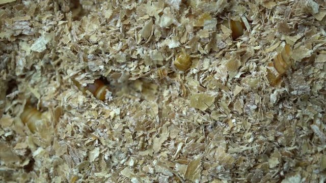 4k macro video of millwork