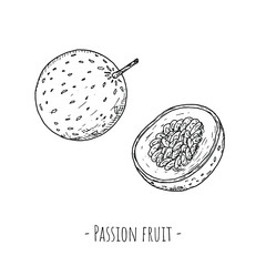 Passion fruit. Vector cartoon illustrations. Isolated objects on a white background. Hand-drawn style.