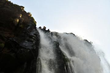 a trip to the roaring waterfalls on the river in a motor boat in a national park in brazil