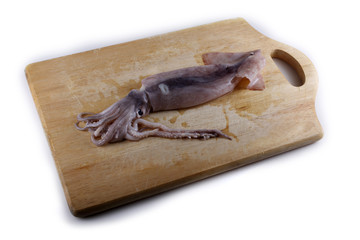 Fresh sea food
