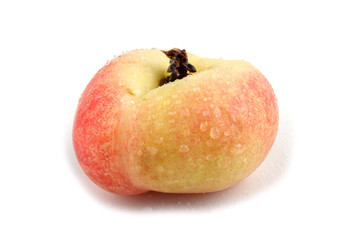 Donut peach (UFO peach)
