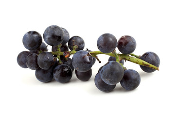 Black wine grape