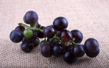 Black wine grape on bagging