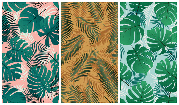 Seamless Tropical Pattern With Monstera Leaves And Palm Tree Branches, Set Of Vector Summer Backgrounds